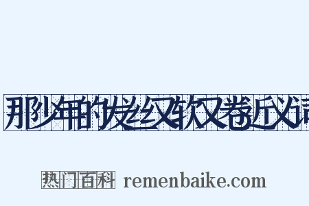 那少年的发丝又软又卷近义词是什么意思的图片